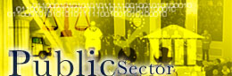 public sector