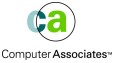 Computer Associates